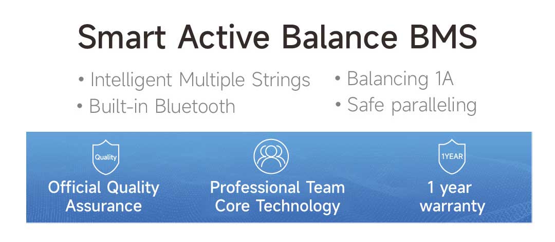 DALY BMS 100 BALANCE Image 